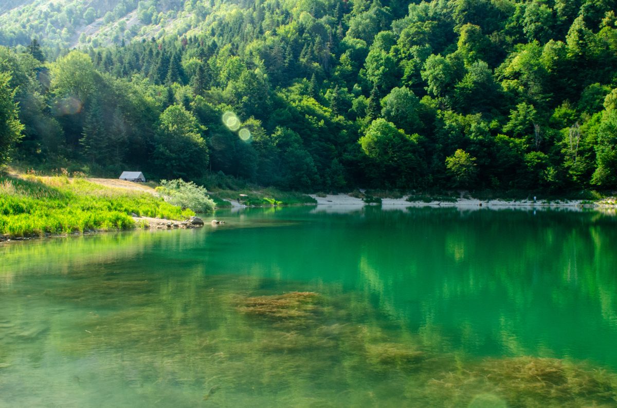 Emerald green lake surrounded by forest